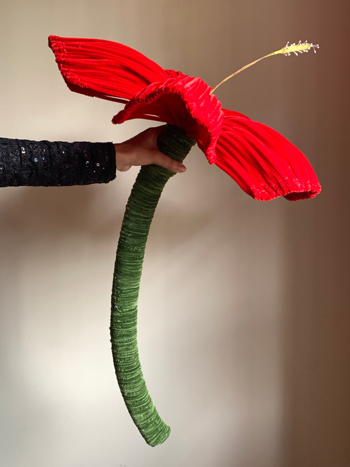 Atoz Signature Class #01                      THE 3 FEET JUMBO PIPE CLEANER HIBISCUS MASTERCLASS