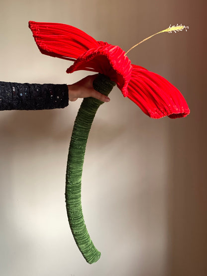 Atoz Signature Class #01                      THE 3 FEET JUMBO PIPE CLEANER HIBISCUS MASTERCLASS