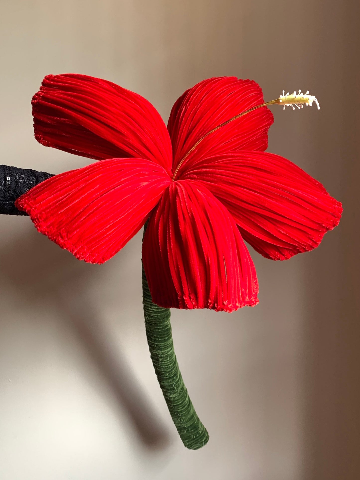 Atoz Signature Class #01                      THE 3 FEET JUMBO PIPE CLEANER HIBISCUS MASTERCLASS