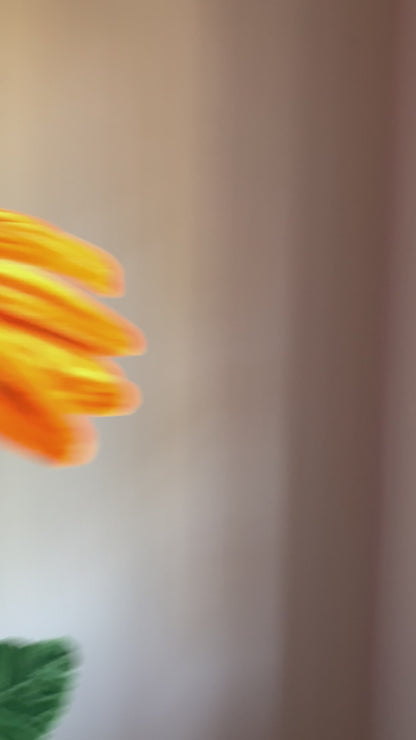 Sweet Sun Bloom | Giant Pipe Cleaner Sunflower with Ferrero Rocher